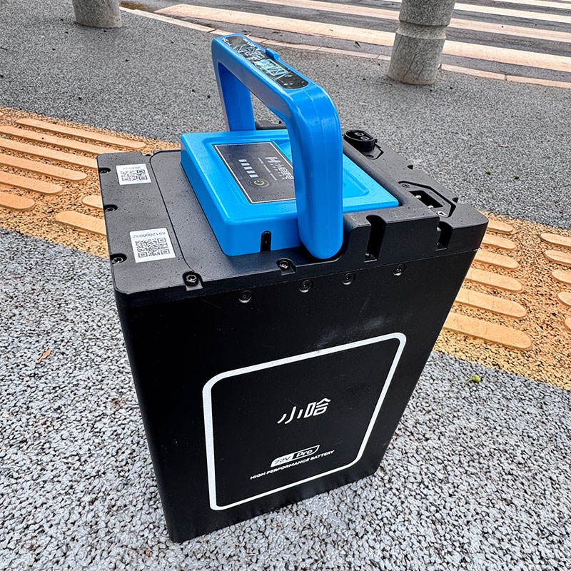 Lithium-Ion E-Bike Battery